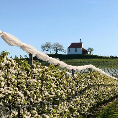 Haus Sonnenseite Saentis * Wasserburg am Bodensee